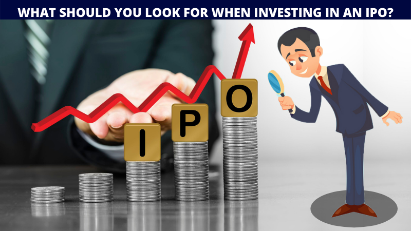 What should you look for when investing in an IPO