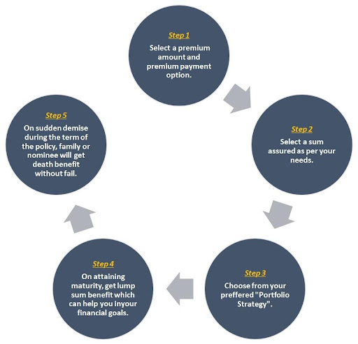 https://n.holisticinvestment.in/wp-content/uploads/2022/02/Icici-pru-elite.jpg